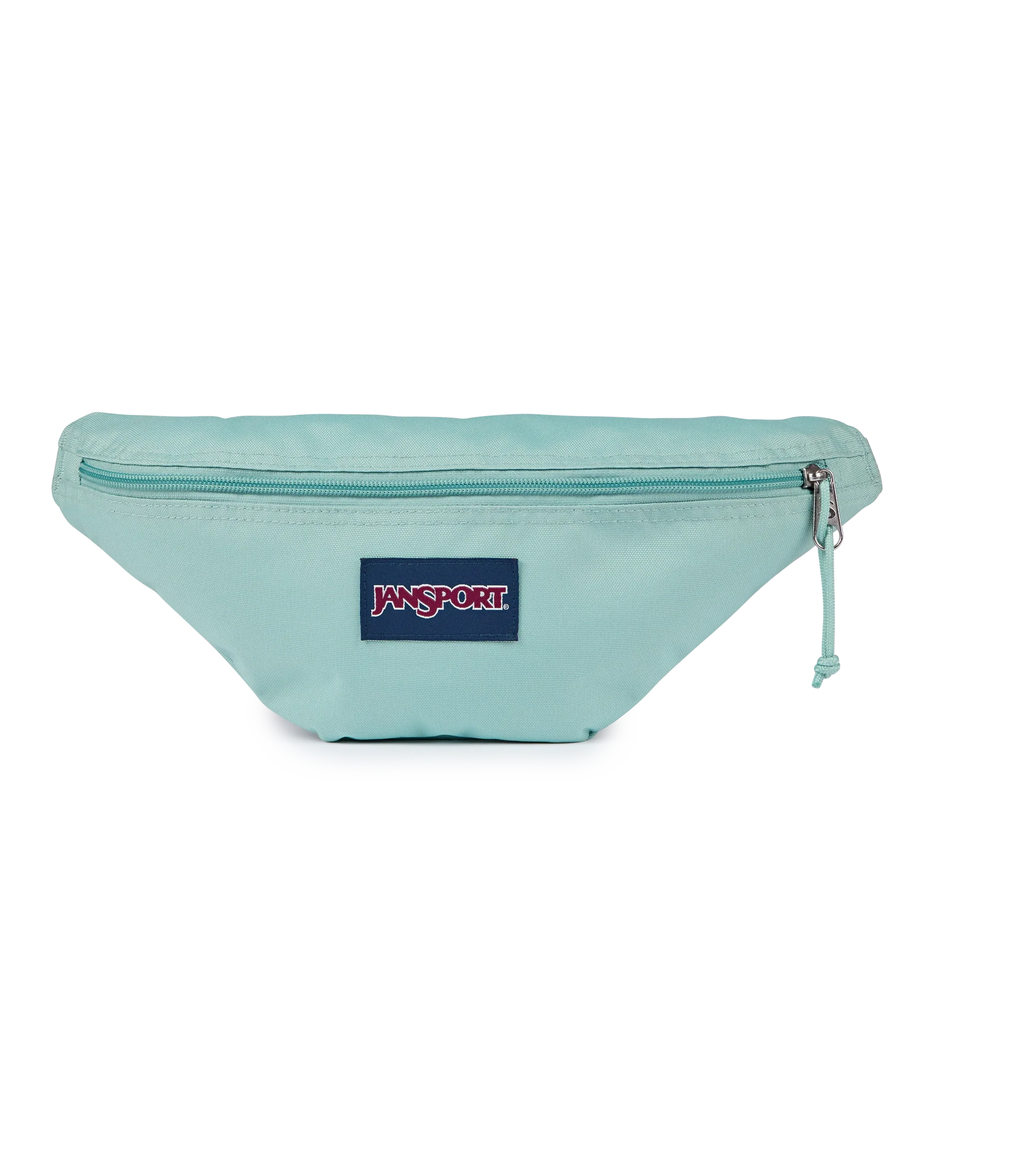 Swing Waistpack
